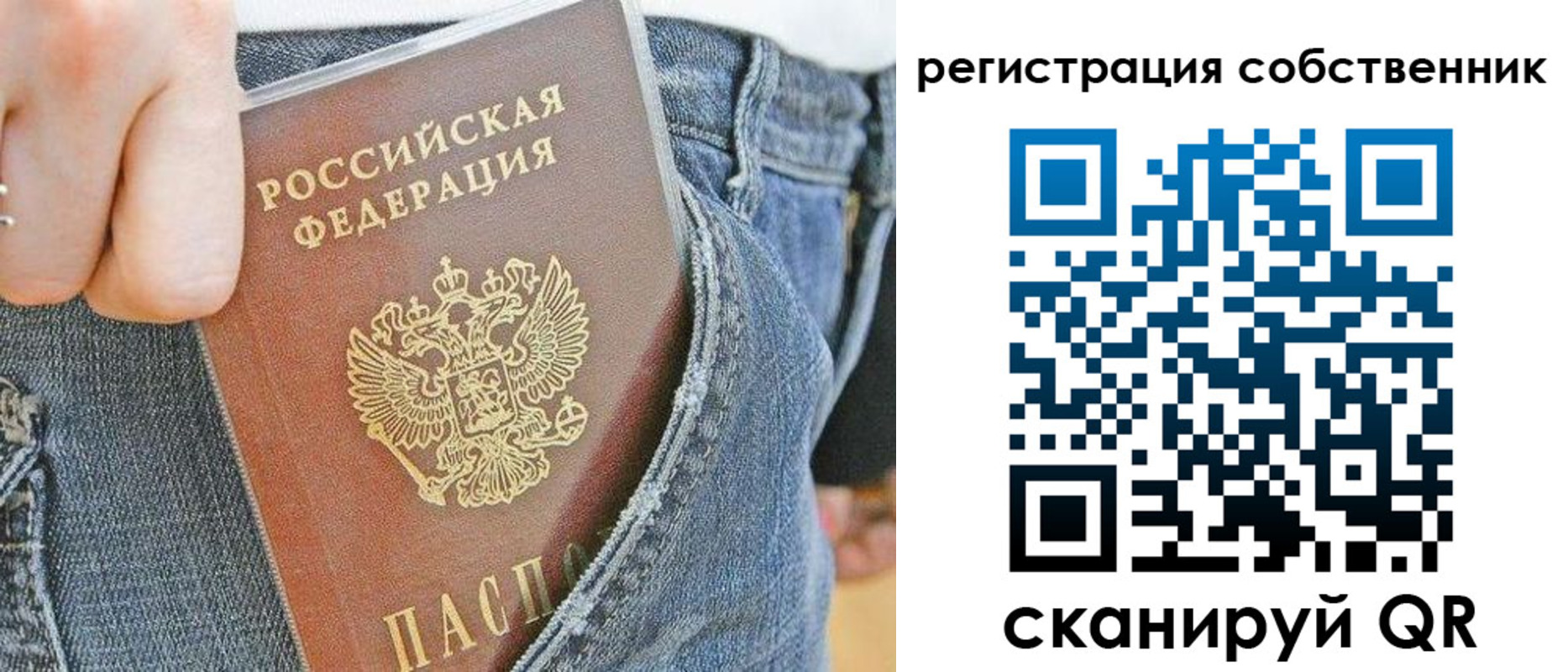 временная регистрация гарантия в Ленинградской области
