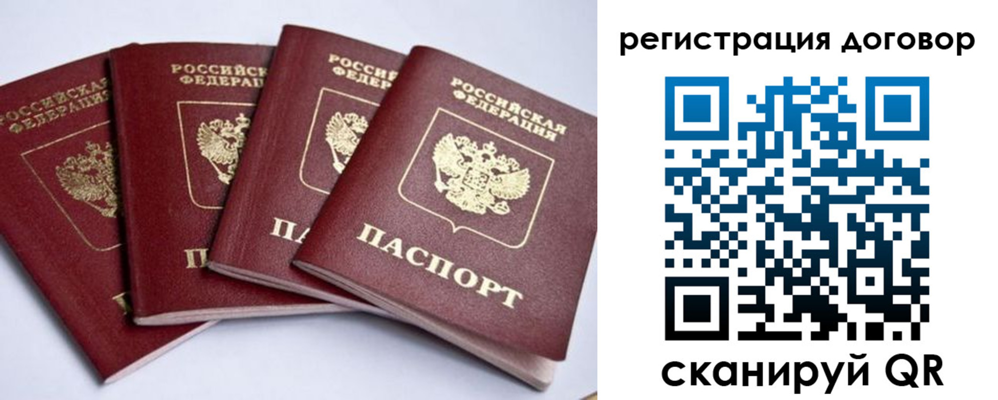 прописка паспорт в Ленинградской области